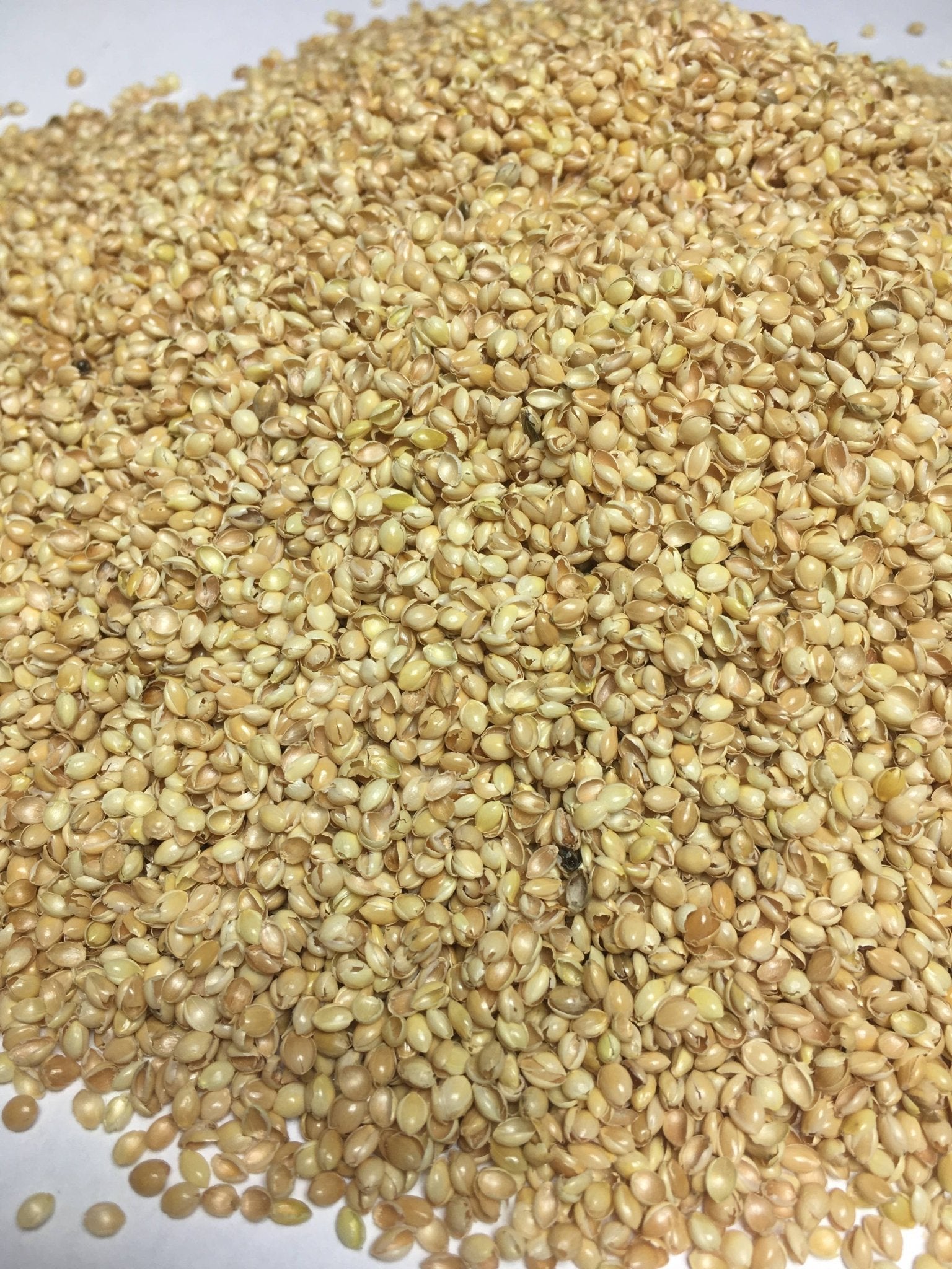 Løve Kosepute/bamse – Økologisk fra Lev Logisk