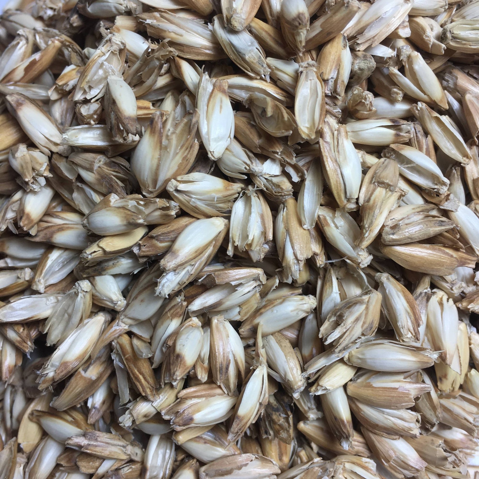 Løve Kosepute/bamse – Økologisk fra Lev Logisk