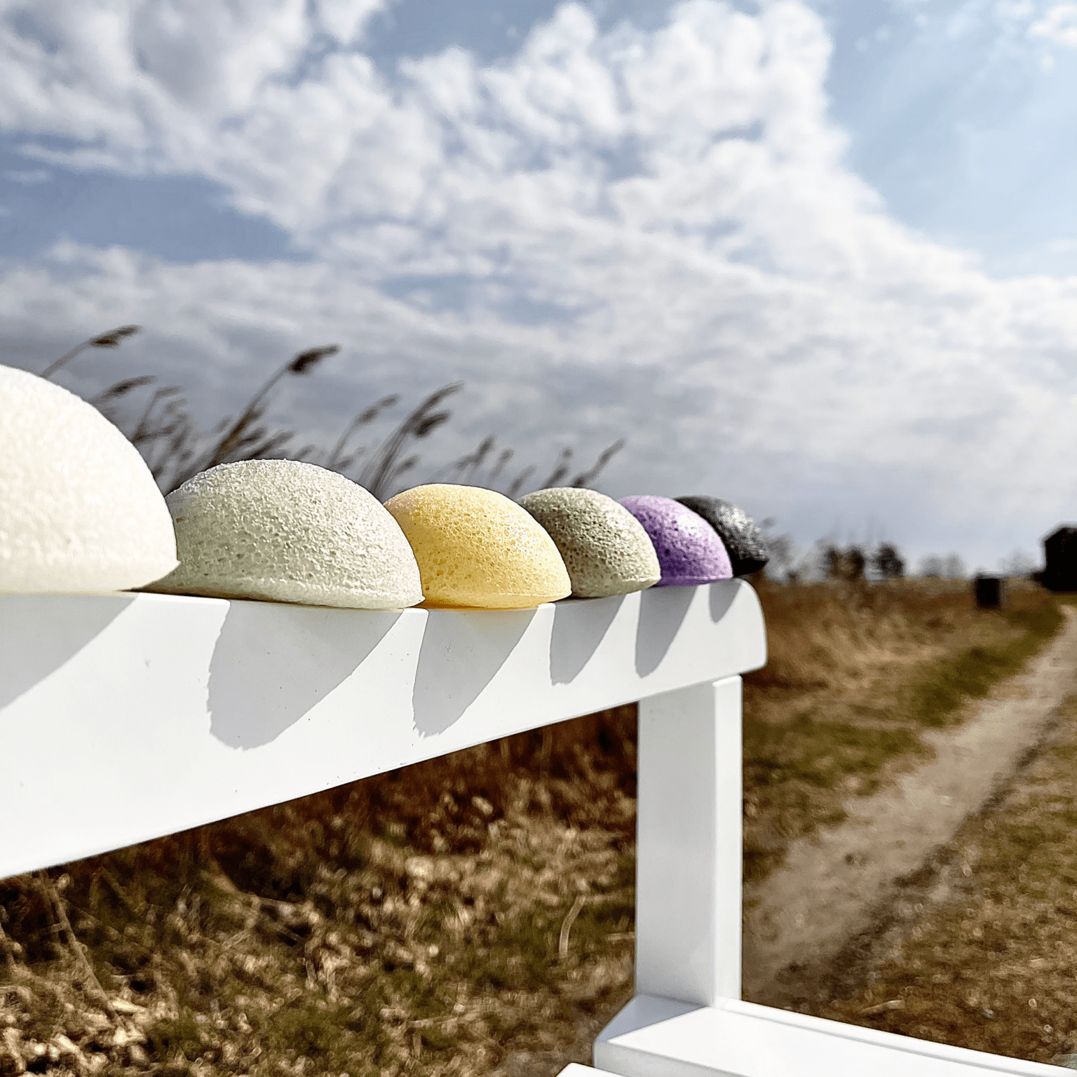 Organic konjac