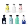 Noodoll/24 bottles drikkeflaske - Ricepudding bear blue-