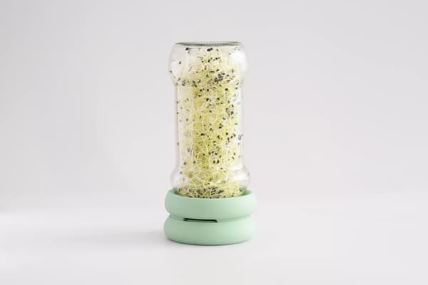 Sprout Huggers - Spirelokk (uten glass) - Lev Logisk