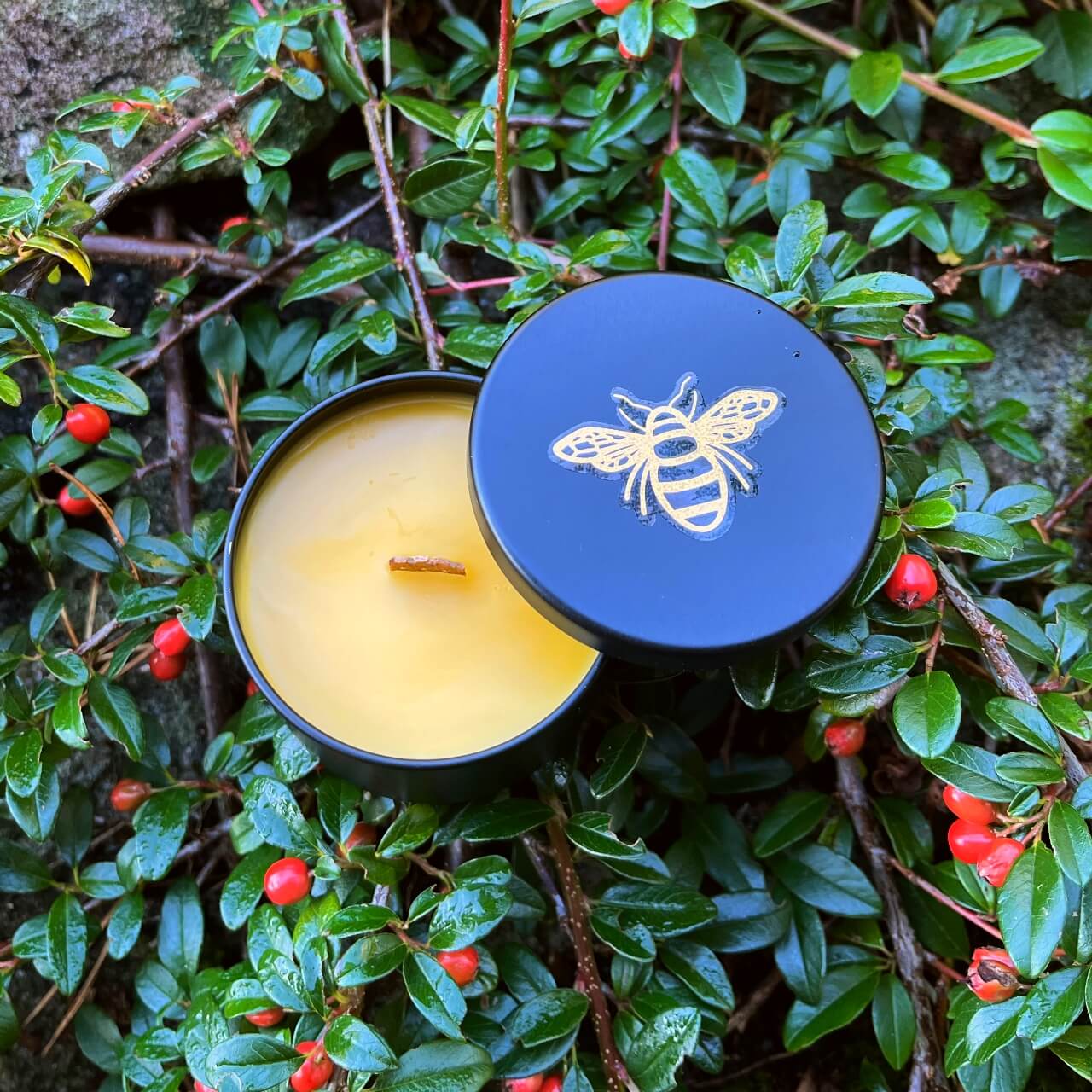 Bivokslys i sort krukke fra Silverlys fra Lev Logisk