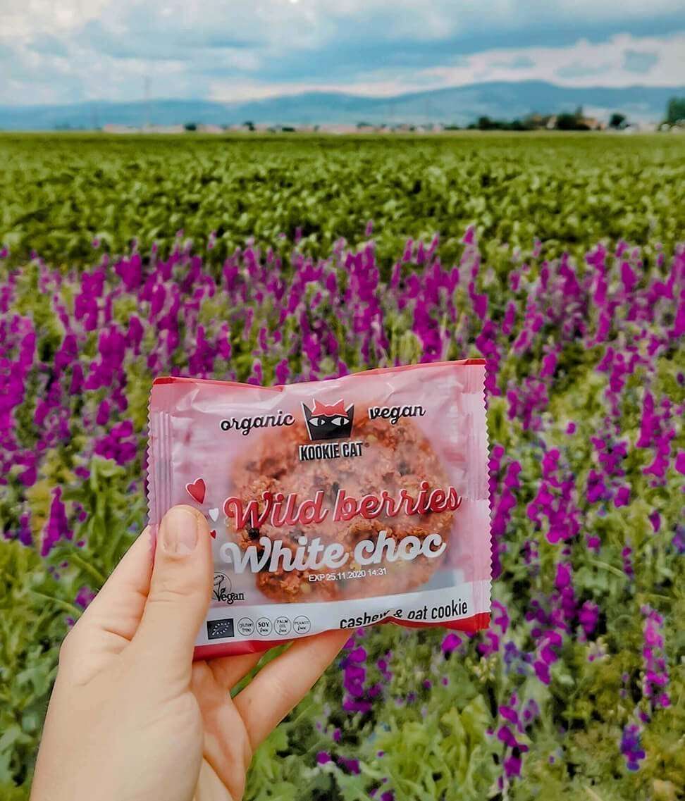 Cookie - Wild berries - 50 g fra Lev Logisk