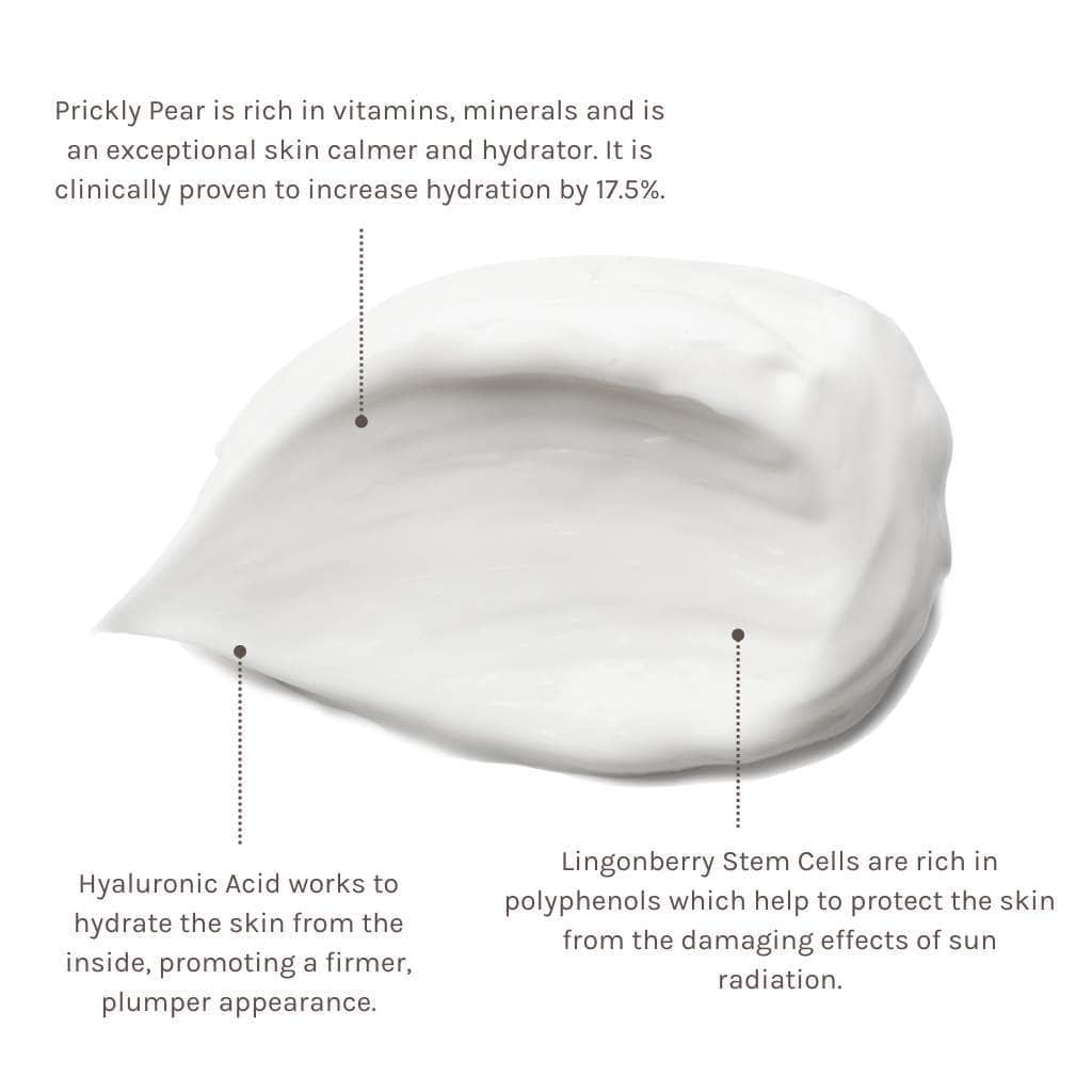 Evolve Climate Defence Facial Cream SPF30 - 40ml - Lev Logisk