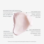 Evolve Intense Hydrating Mask 60ml - Lev Logisk