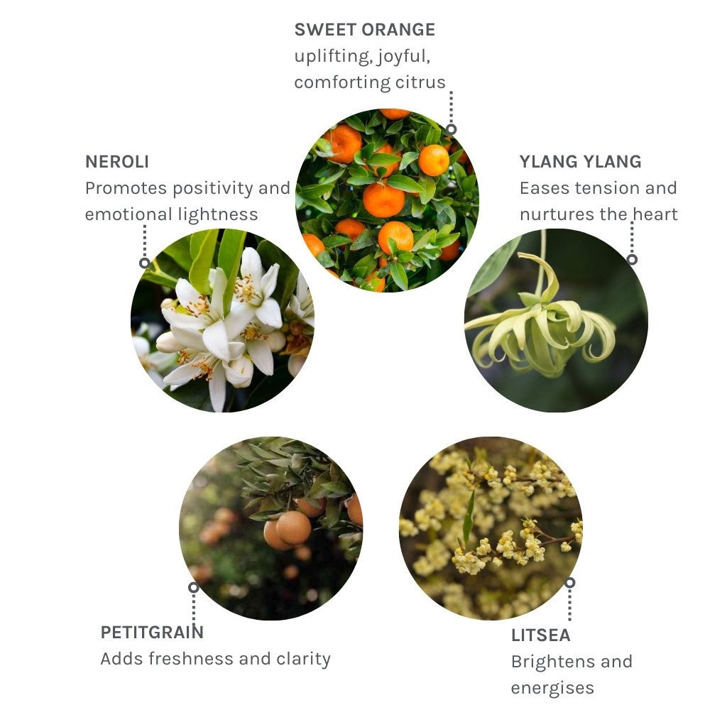 Evolve Joyful Light Essence 10ml fra Lev Logisk