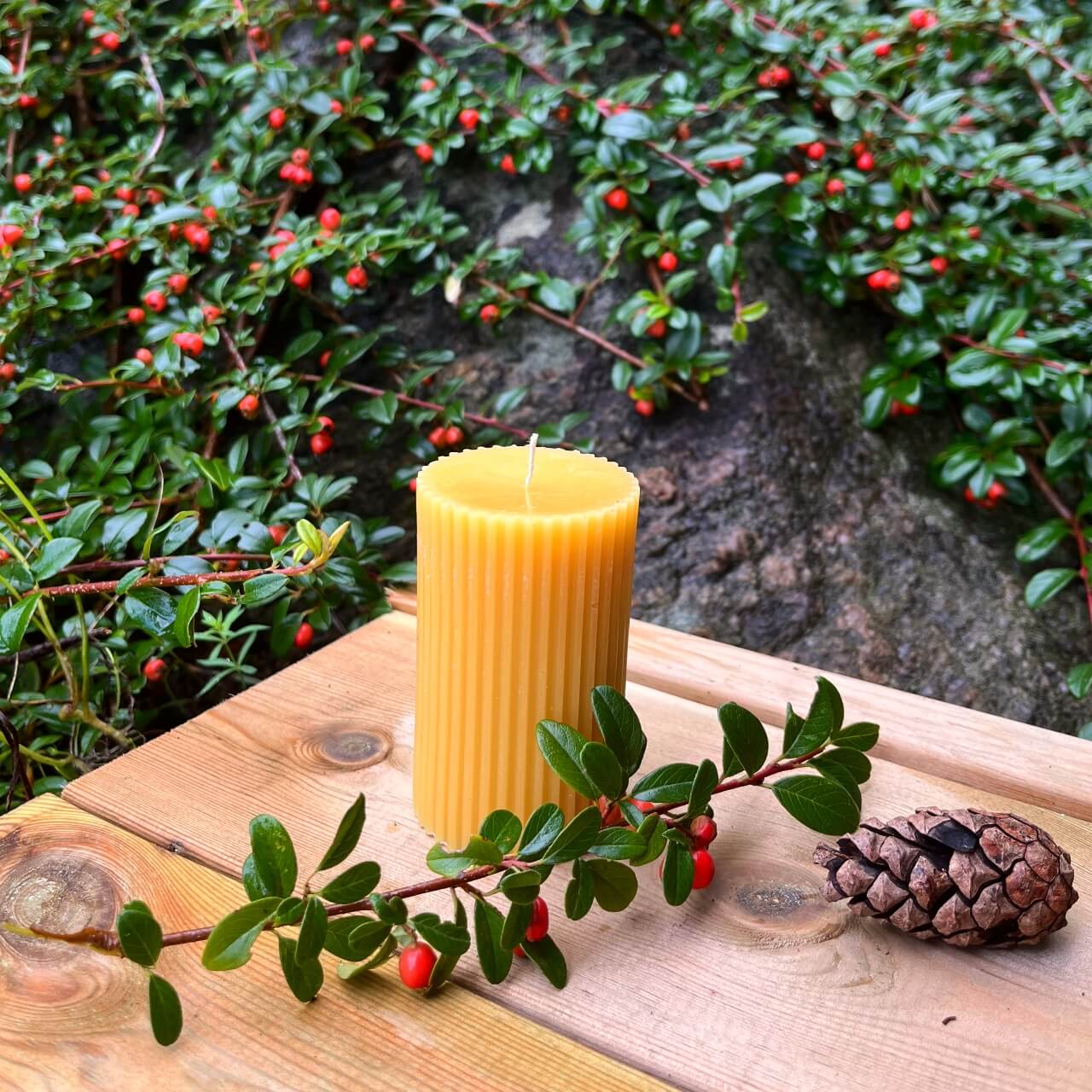 Kubbelys av bivoks med riller fra Lev Logisk