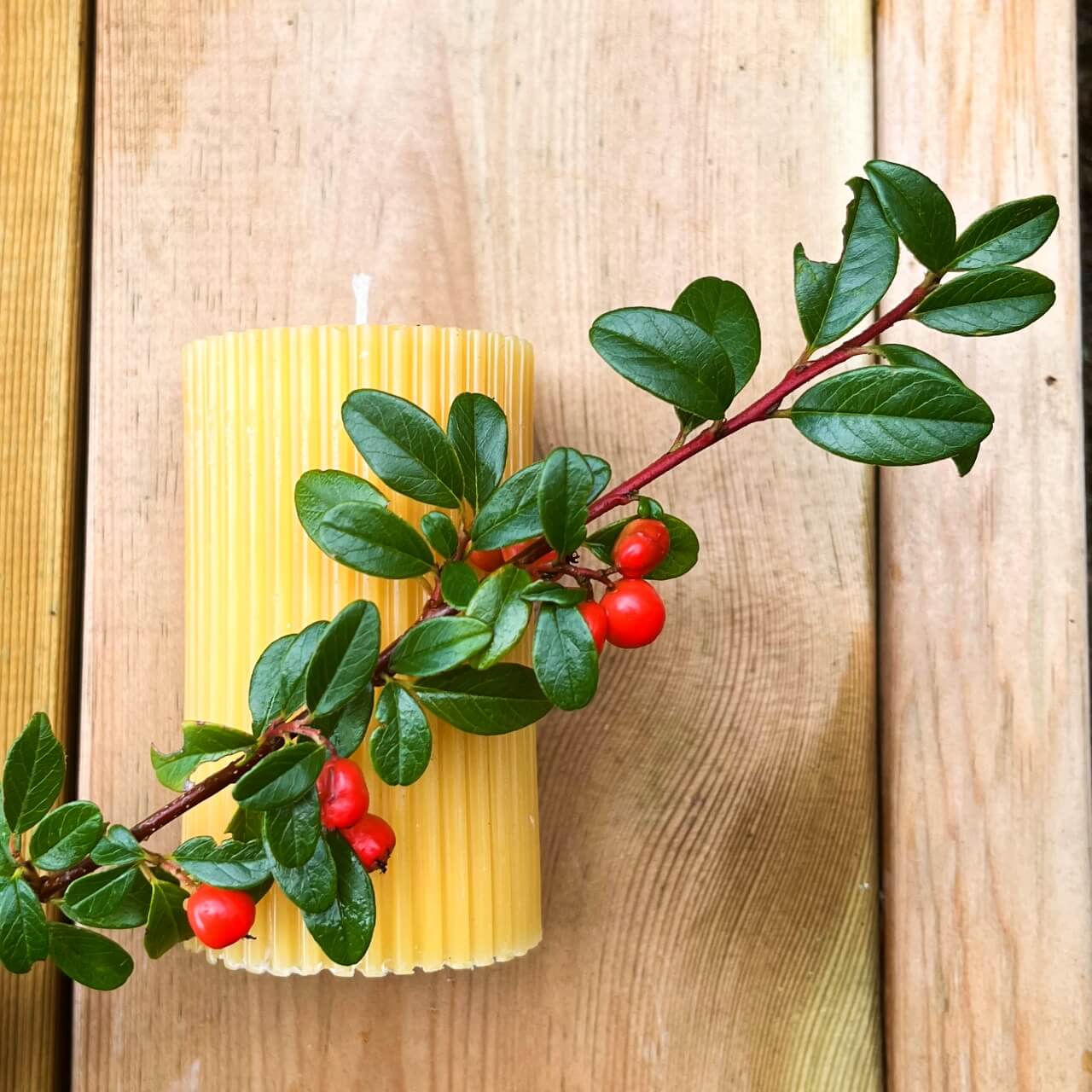 Kubbelys av bivoks med riller fra Lev Logisk