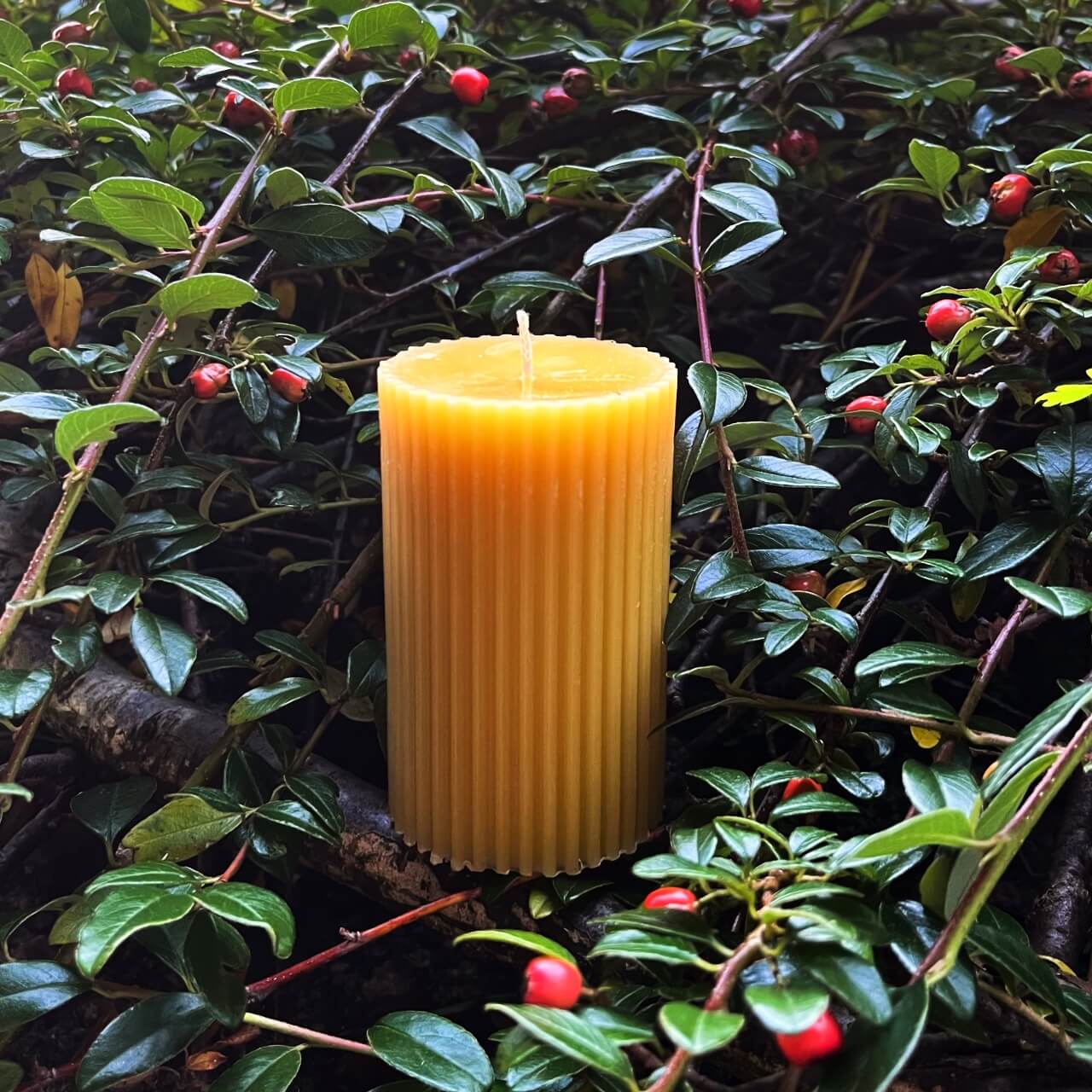 Kubbelys av bivoks med riller fra Lev Logisk