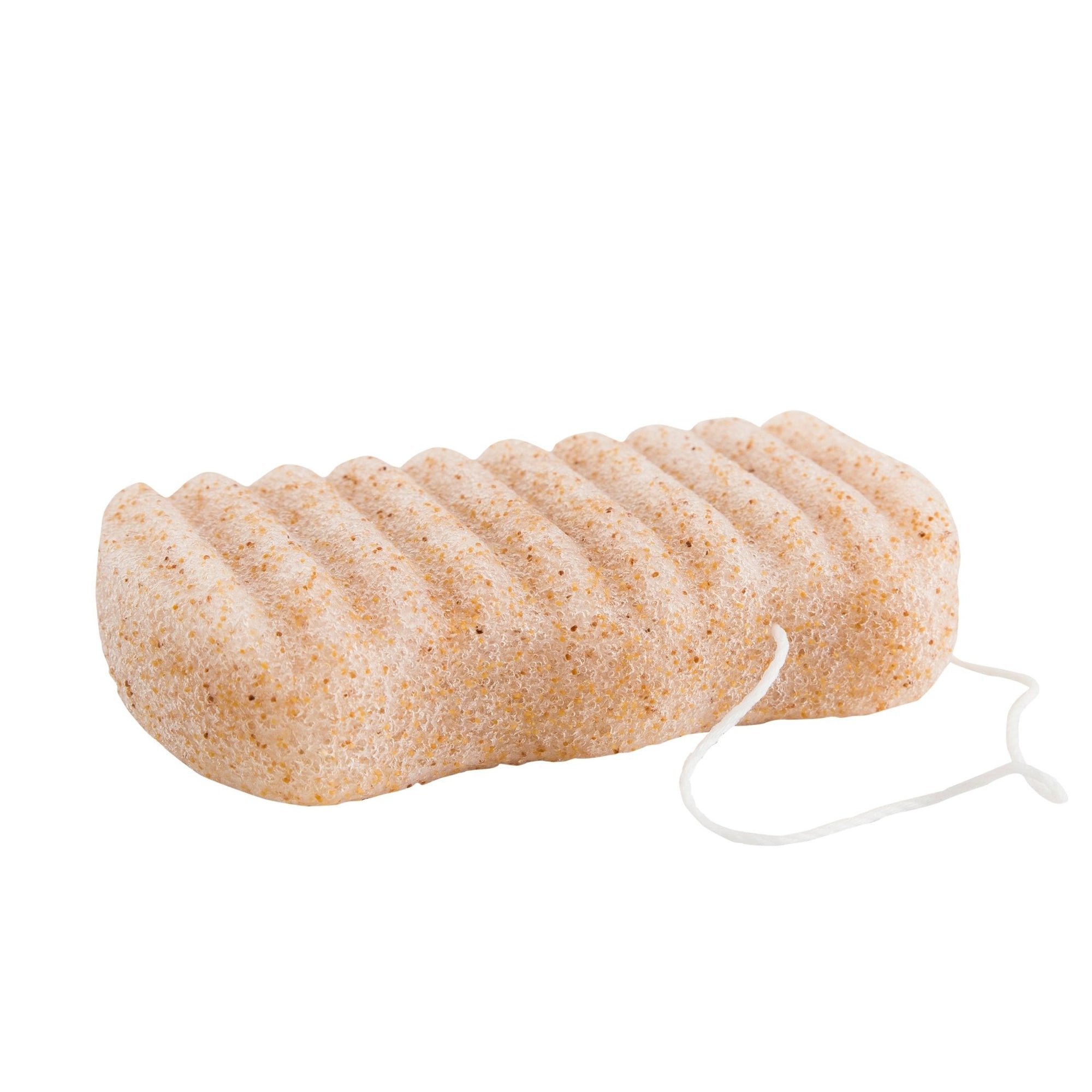 Organic Konjac Svamp KROPP – Valnøttskall/Pure fra Lev Logisk