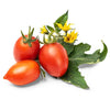 Lingot mini tomat sett