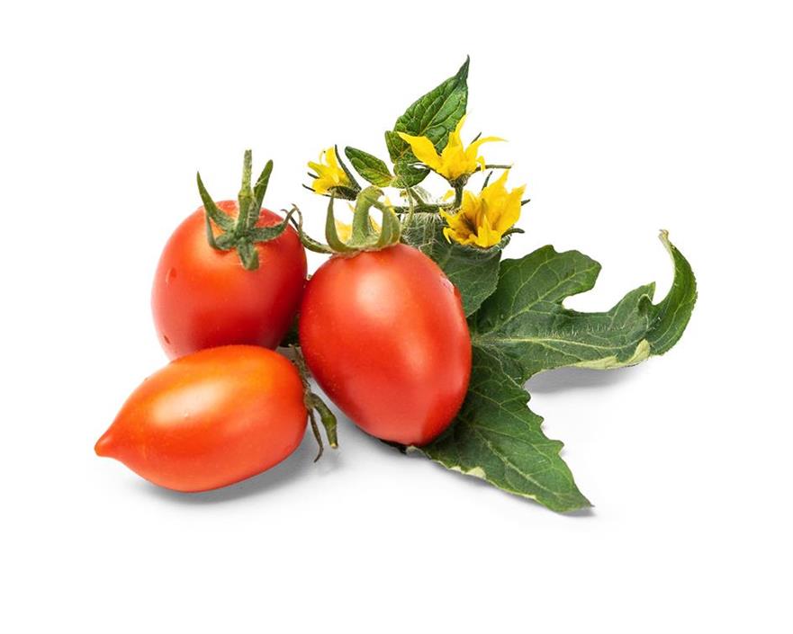 Lingot mini tomat sett