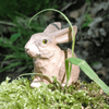 Wudimals® Hare i tre - Lev Logisk