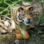Wudimals® Tiger i tre - Lev Logisk