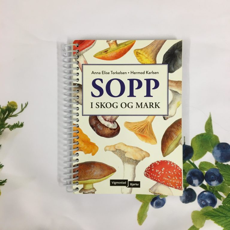 Sopp i skog og mark